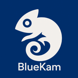 Logo BlueKam Agence de développement web & mobile